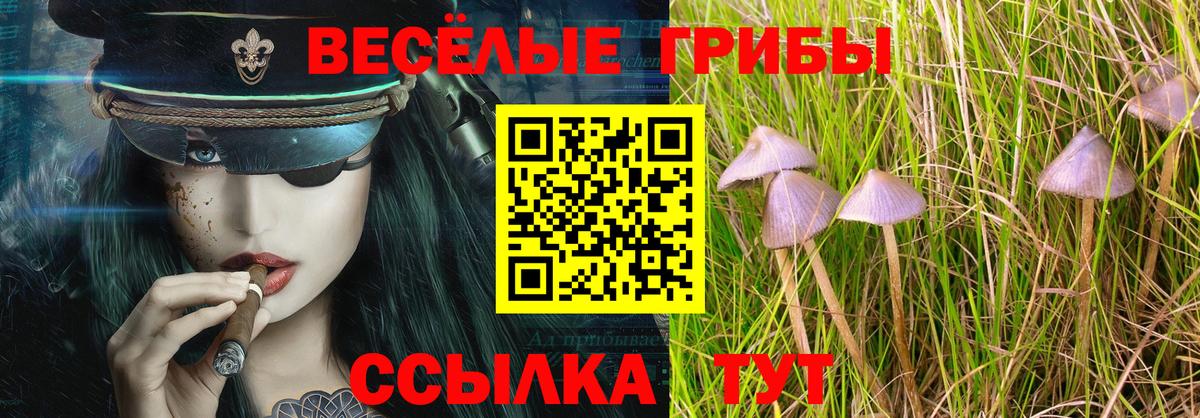 Галлюциногенные грибы Psilocybine cubensis  как найти закладки  Псилоцибиновые грибы Cubensis  Наро-Фоминск  Вход с VPN 