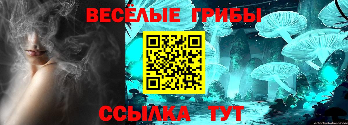 Галлюциногенные грибы прущие грибы Наро-Фоминск